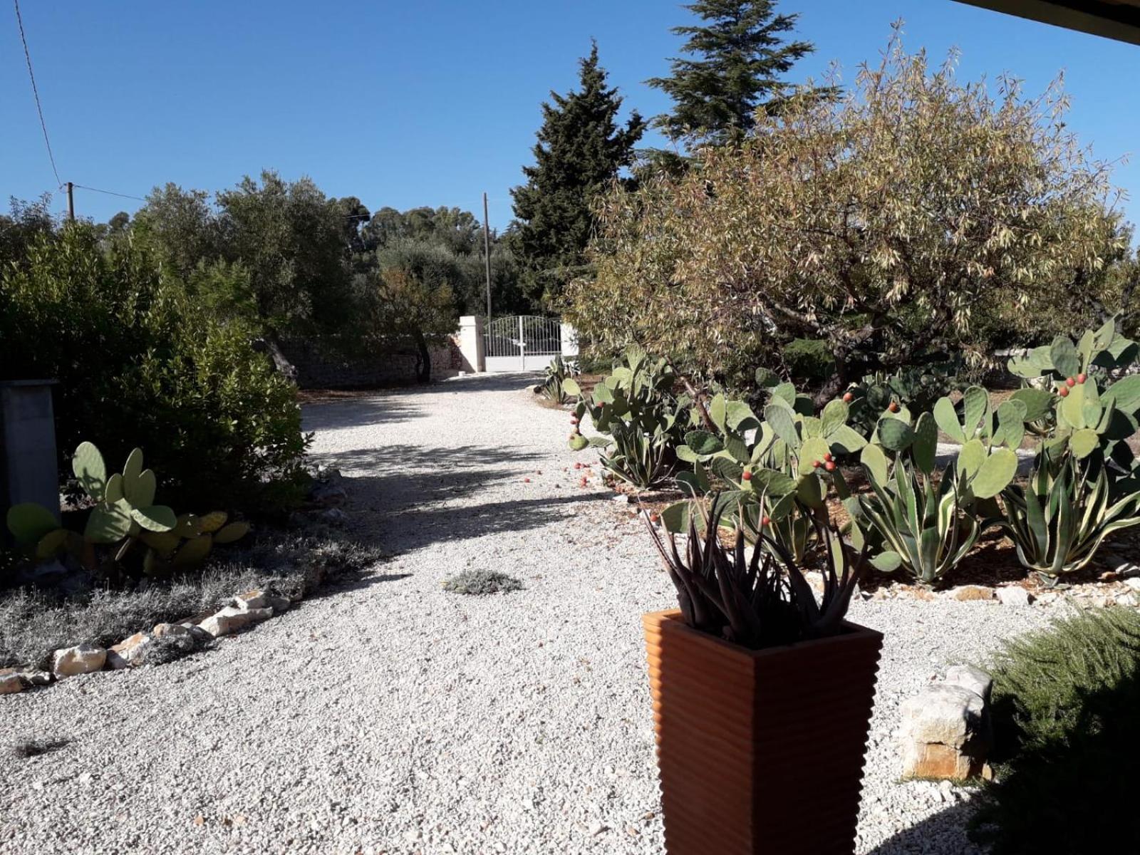 Masseria Due Torri Монополи Стая снимка