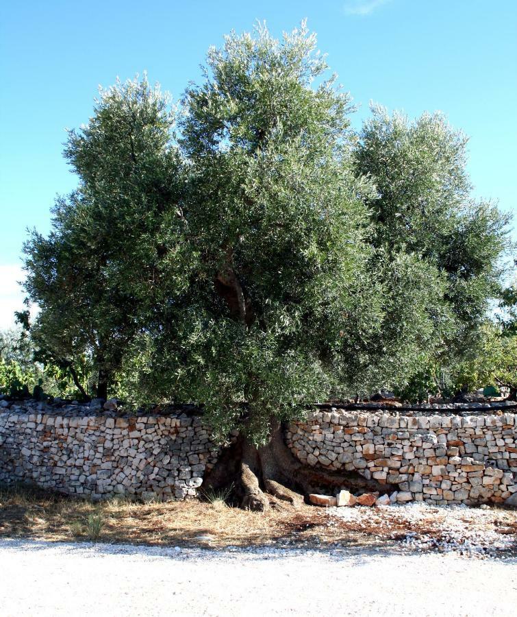 Masseria Due Torri Монополи Екстериор снимка
